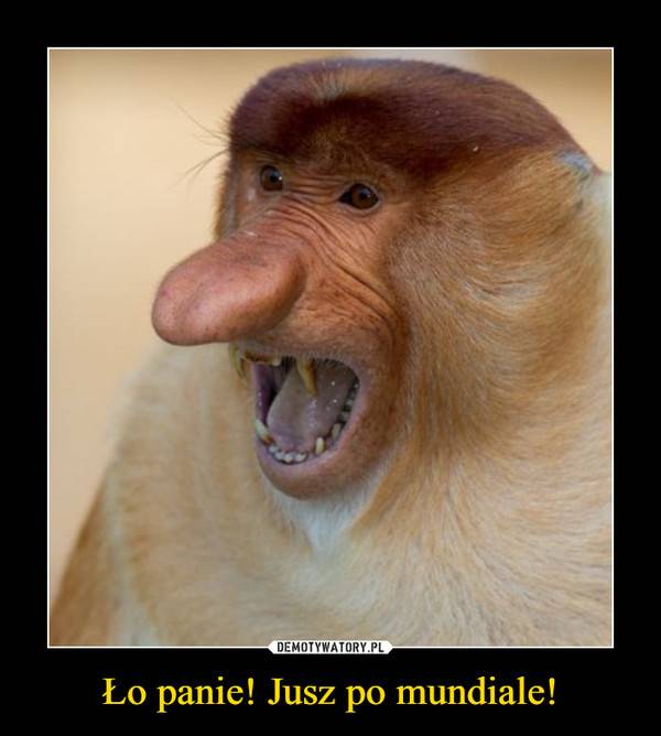 Memy po meczu Polska – Kolumbia