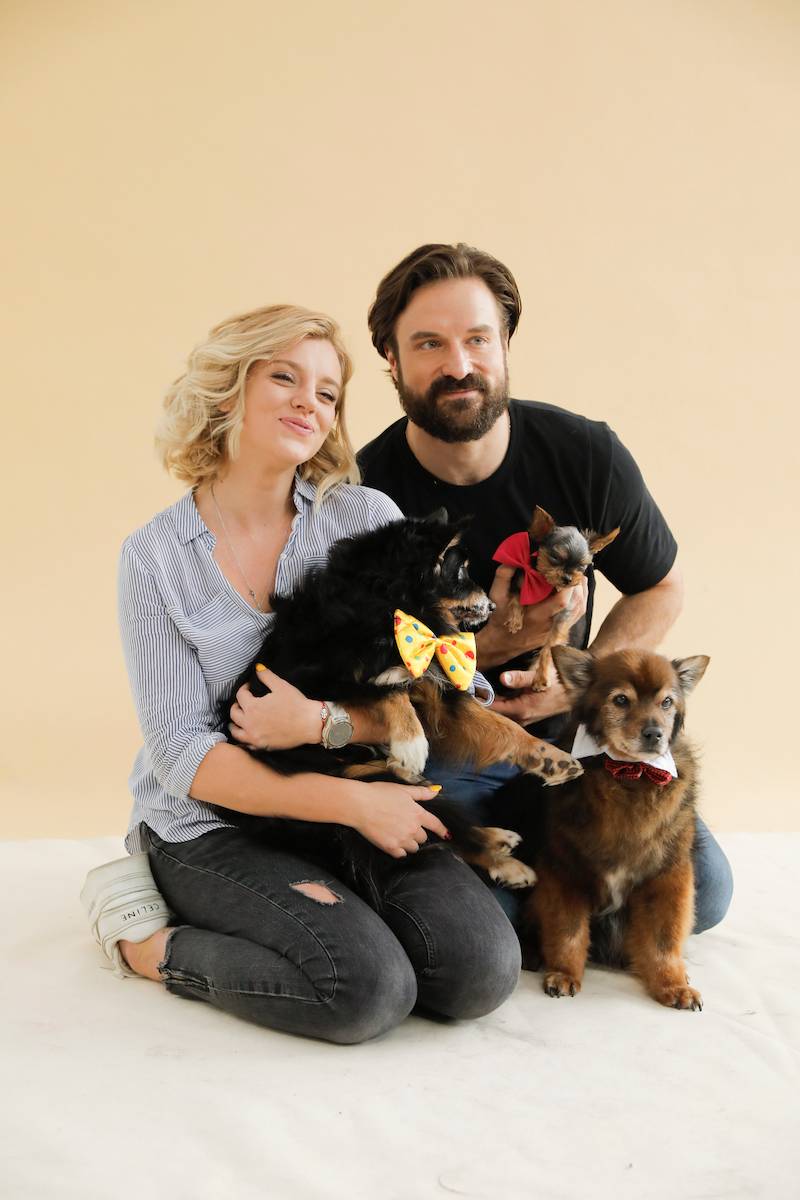 Gwiazdy pozują ze zwierzakami. Andrzej Piaseczny, Piotr Stramowski z ukochaną, Olga Borys…