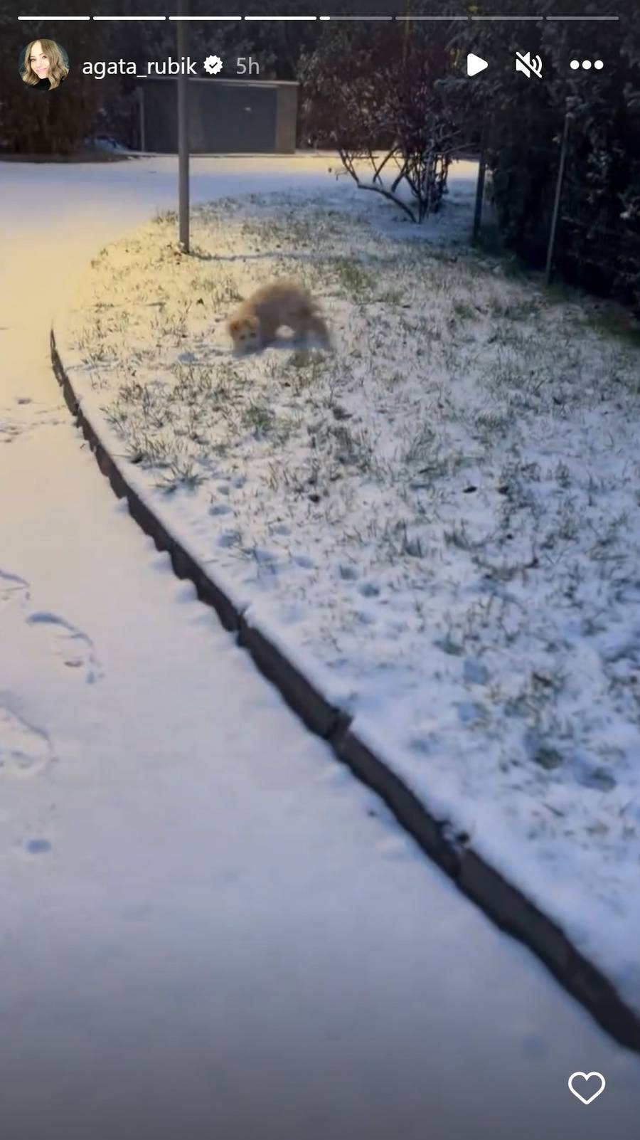 Pierwszy śnieg zawitał u Gwiazd! Halejcio, Pisarek, Lipińska i reszta chwalą się zimowymi fotkami (ZDJĘCIA)