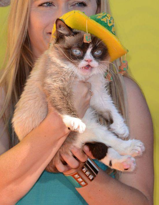 Kids Choice Awards 2015