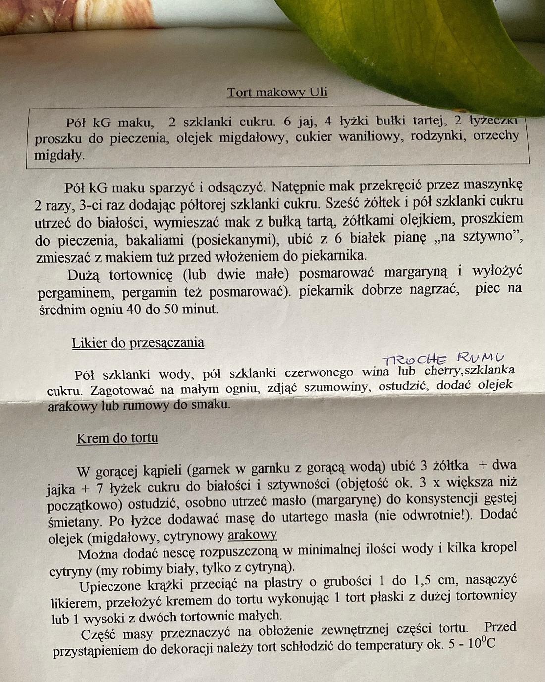 Anna Czartoryska-Niemczycka podzieliła się pamiątką po dziadkach, fot. Instagram