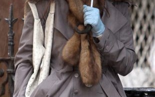 Sarah Jessica Parker zmienia się w divę?