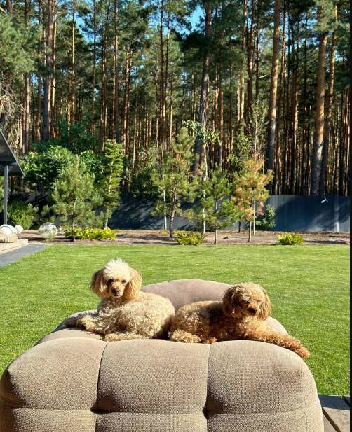 Margaret zamieszkała w środku lasu. Tak wygląda jej dom w Polsce