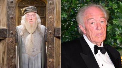 Aktor z “Harry’ego Pottera” pominął w testamencie matkę swoich synów! Im przekazał “ochłapy”