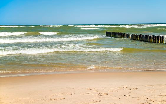 Rodzice robili selfie, gdy dziewczynka wpadła do morza. NOWE fakty w sprawie