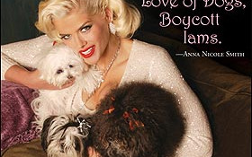 Dzienniki Anne Nicole Smith