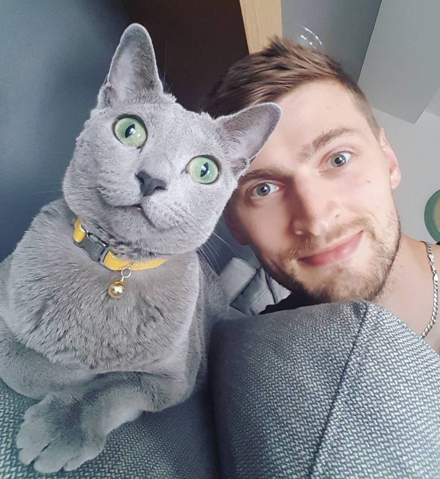 Światowy Dzień Kota: kto ma NAJŁADNIEJSZEGO futrzaka? Sadowska, Wojciechowska a może Jacek Kurski?