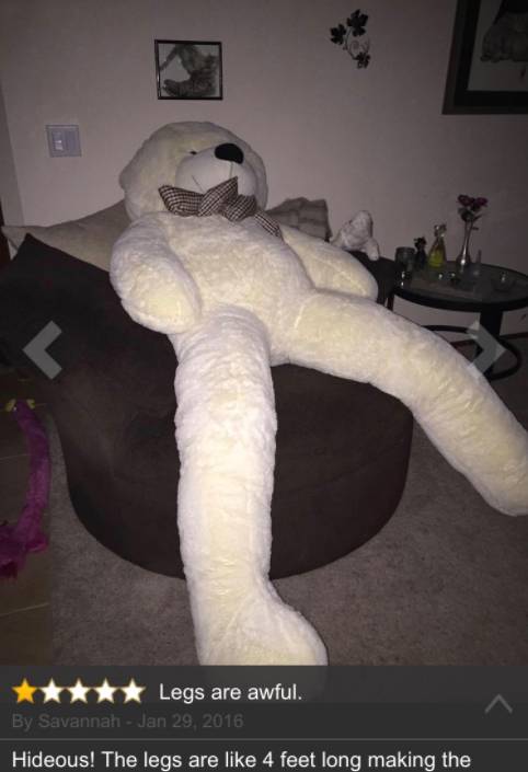 Zamówili wielkiego misia na Amazonie, a kiedy rozpakowali przesyłkę… (ZDJĘCIA)