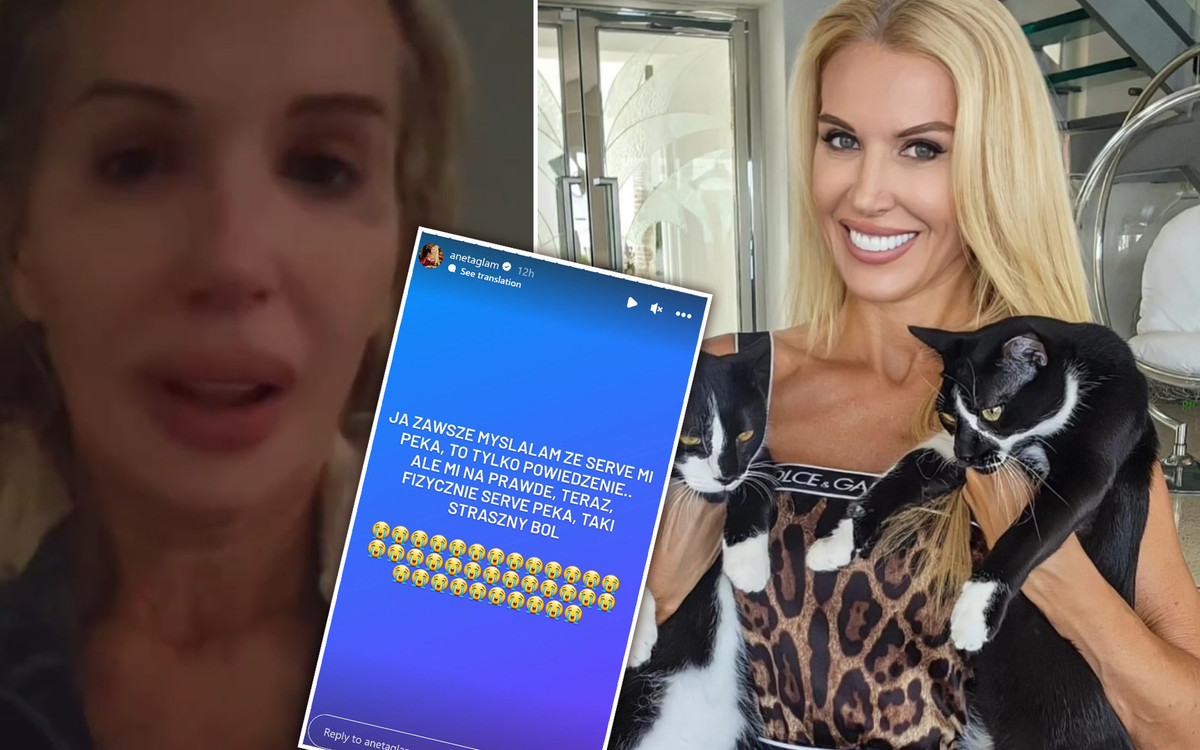 Aneta Glam załamana! Zaginął jej ukochany kot. Porównuje się do rodzin, którym porwano dzieci