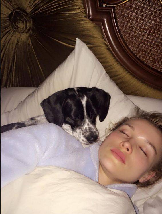 Gwiazdy w łóżku o poranku