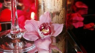 Gwiazdy na festiwalu TOP of The TOP szaleją