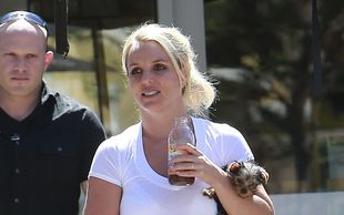 Po tym niusie zaczniesz zazdrościć psom Britney Spears