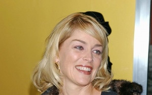 Sharon Stone bez stanika
