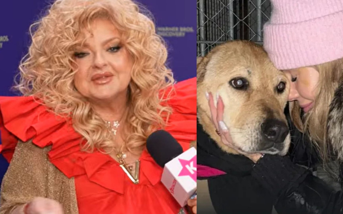 Tylko u nas! Doda wybiela wizerunek działaniami w schroniskach?! Gessler nie zostawiła na niej suchej nitki